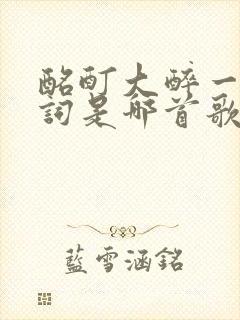 酩酊大醉一场歌词是哪首歌