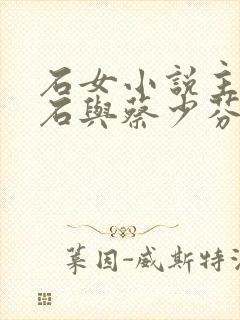 石女小说主角大石与蔡少芬小说阅读