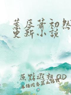 叶辰萧初然最快更新小说