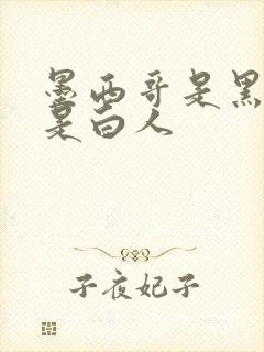 墨西哥是黑人还是白人