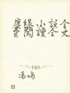 尘缘小说全文免费阅读全文