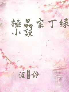 极品家丁绿帽版小说