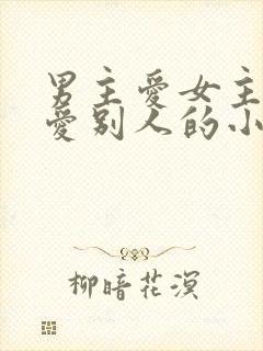男主爱女主女主爱别人的小说