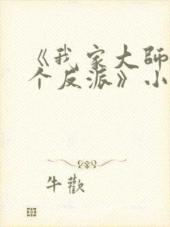 《我家大师兄是个反派》小说