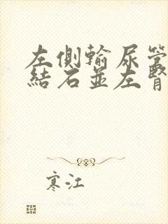 左侧输尿管下段结石并左肾积液