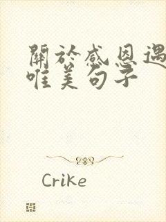 关于感恩遇见的唯美句子