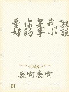 爱你是我做过最好的事小说全文免费阅读