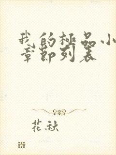 我的极品小姨新章节列表