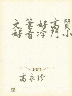 文笔好高质量超好看冷门小说