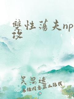 双性荡夫np总攻