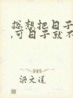 总想把日子过好,可日子就不让你好过