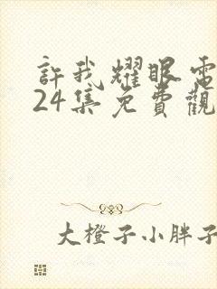 许我耀眼电视剧24集免费观看