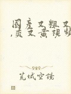 国产又粗又猛又,爽又黄视频