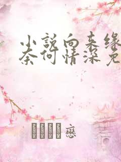 小说向来缘浅,奈何情深免费看