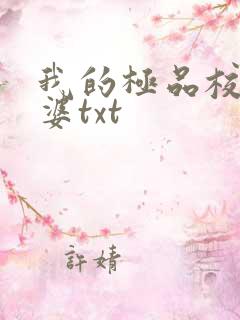 我的极品校花老婆txt