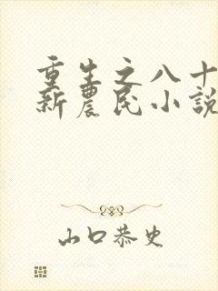 重生之八十年代新农民小说