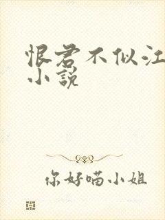 恨君不似江楼月小说