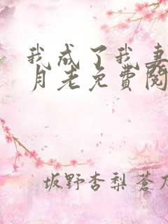 我成了我妻子的月老免费阅读