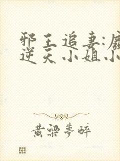 邪王追妻:废材逆天小姐小说正版