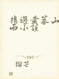 杨过黄蓉山洞云雨小说