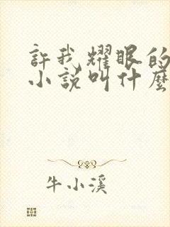 许我耀眼的原著小说叫什么