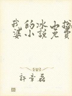 我的冰山总裁老婆小说免费完整版