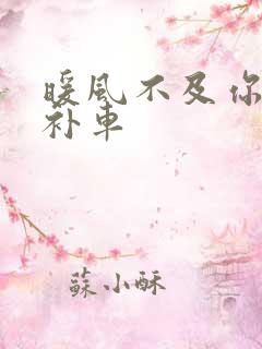 暖风不及你情深补车