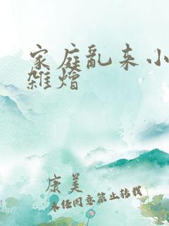 家庭乱来小说大杂烩