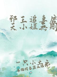 邪王追妻废材逆天小姐无删减