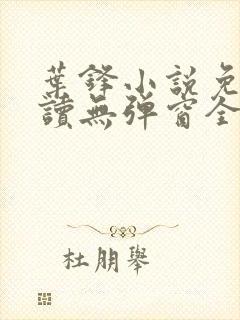 叶锋小说免费阅读无弹窗全文