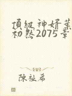 顶级神婿叶辰萧初然2075章