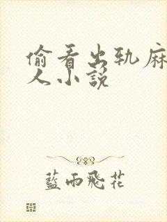 偷看出轨麻麻黑人小说