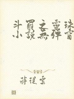 斗罗之灵珠神剑小说无弹窗口