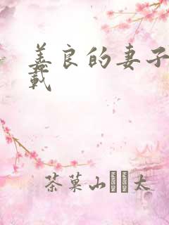 善良的妻子 下载