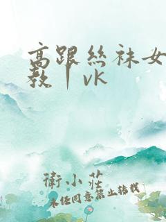 高跟丝袜女王调教丨vk