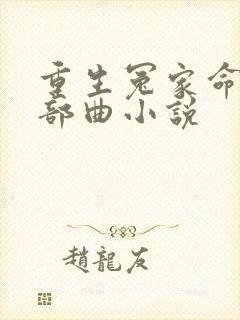 重生冤家命运三部曲小说