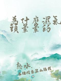 为什么湿气重会头晕晕的