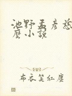 池野孟彦慈是什么小说