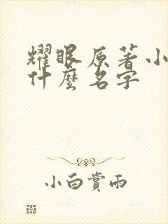 耀眼原著小说叫什么名字