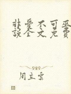 非爱不可巫哲小说全文免费阅读