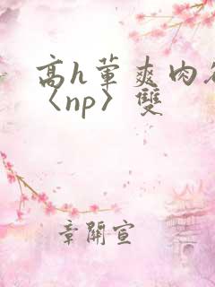高h荤爽肉欲文〈np〉双