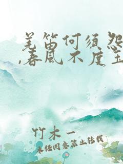 羌笛何须怨杨柳,春风不度玉门关地理知识