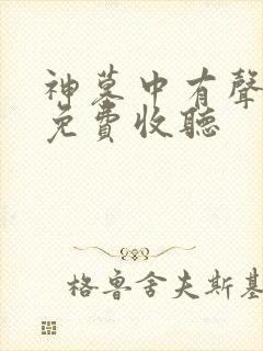 神墓中有声小说免费收听