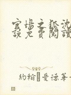 官场之狐沈荡小说免费阅读