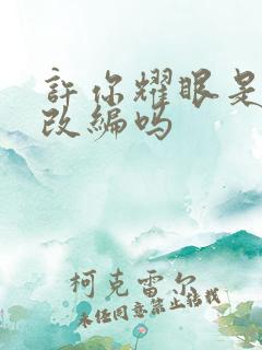 许你耀眼是小说改编吗