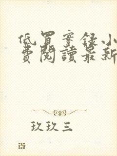 低买实录小说免费阅读最新章节