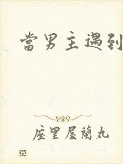 当男主遇到后宫