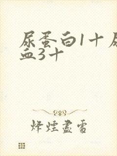 尿蛋白1十尿隐血3十