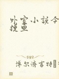 外室小说今天也摸鱼