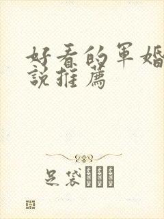 好看的军婚文小说推荐